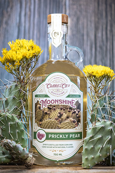 Moonshine Prickly Pear